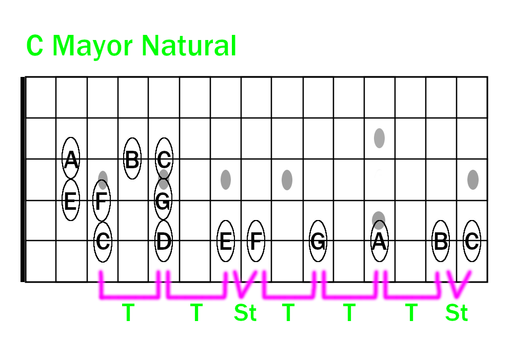 Tonos y Semitonos de la Escala Mayor Natural en Guitarra